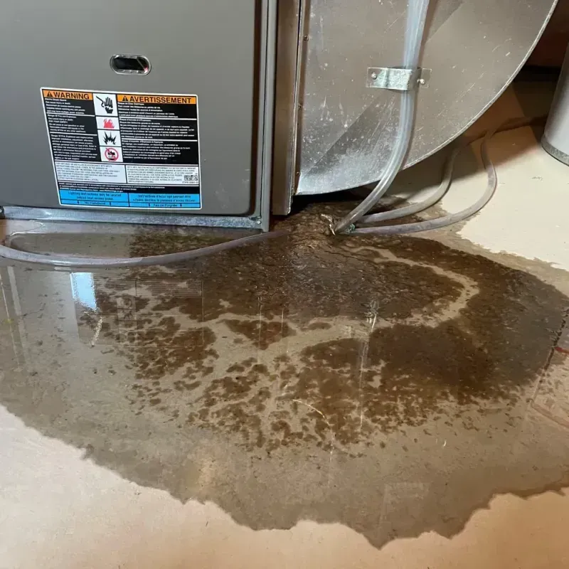 Appliance Leak Cleanup in Apalachicola, FL